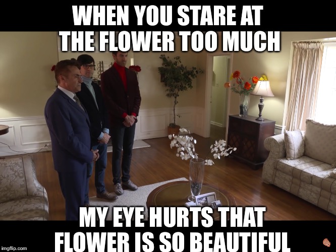 WHEN YOU STARE AT THE FLOWER TOO MUCH MY EYE HURTS THAT FLOWER IS SO BEAUTIFUL | image tagged in rhett and link | made w/ Imgflip meme maker