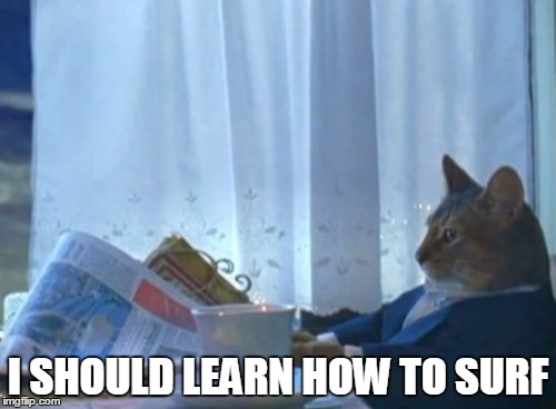 I Should Buy A Boat Cat Meme | I SHOULD LEARN HOW TO SURF | image tagged in memes,i should buy a boat cat | made w/ Imgflip meme maker