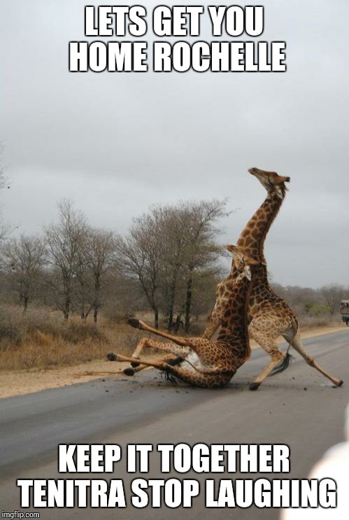 Falling Giraffe | LETS GET YOU HOME ROCHELLE KEEP IT TOGETHER TENITRA STOP LAUGHING | image tagged in falling giraffe | made w/ Imgflip meme maker