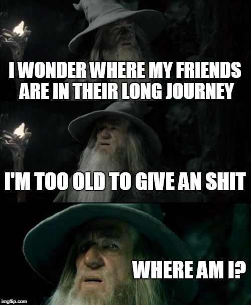 Confused Gandalf | I WONDER WHERE MY FRIENDS ARE IN THEIR LONG JOURNEY I'M TOO OLD TO GIVE AN SHIT WHERE AM I? | image tagged in memes,confused gandalf | made w/ Imgflip meme maker