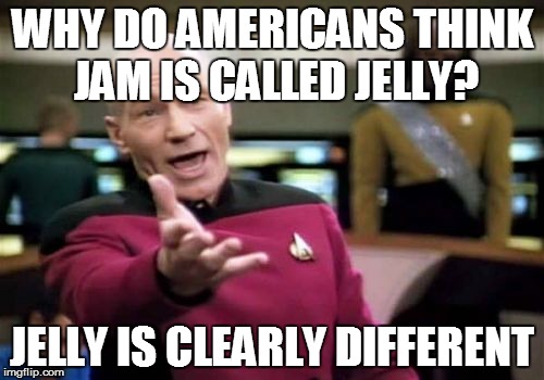 Picard Wtf Meme | WHY DO AMERICANS THINK JAM IS CALLED JELLY? JELLY IS CLEARLY DIFFERENT | image tagged in memes,picard wtf | made w/ Imgflip meme maker