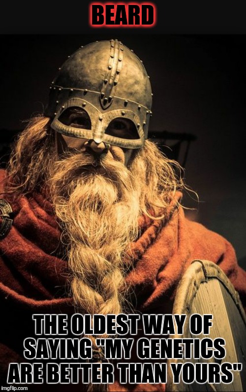 Viking beard kings | BEARD THE OLDEST WAY OF SAYING "MY GENETICS ARE BETTER THAN YOURS" | image tagged in beards | made w/ Imgflip meme maker