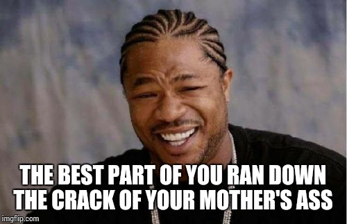 Yo Dawg Heard You | THE BEST PART OF YOU RAN DOWN THE CRACK OF YOUR MOTHER'S ASS | image tagged in memes,yo dawg heard you | made w/ Imgflip meme maker