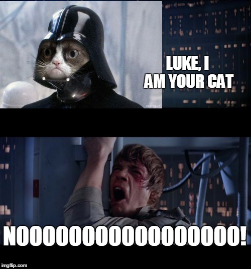 Star Wars No Meme | LUKE, I AM YOUR CAT NOOOOOOOOOOOOOOOOO! | image tagged in memes,star wars no | made w/ Imgflip meme maker