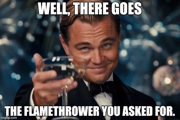 Leonardo Dicaprio Cheers Meme | WELL, THERE GOES THE FLAMETHROWER YOU ASKED FOR. | image tagged in memes,leonardo dicaprio cheers | made w/ Imgflip meme maker