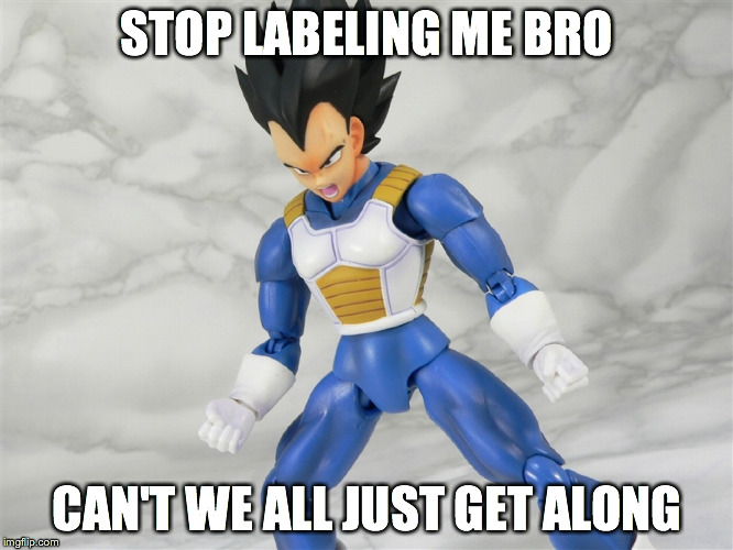 STOP LABELING ME BRO CAN'T WE ALL JUST GET ALONG | made w/ Imgflip meme maker