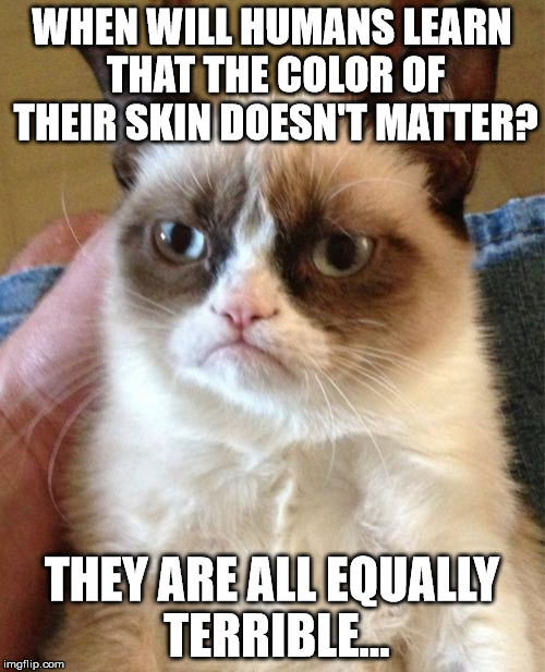 A cat's point of view on the issue of equality. | WHEN WILL HUMANS LEARN THAT THE COLOR OF THEIR SKIN DOESN'T MATTER? THEY ARE ALL EQUALLY TERRIBLE... | image tagged in memes,grumpy cat,equality,shawnljohnson,political,humanity | made w/ Imgflip meme maker