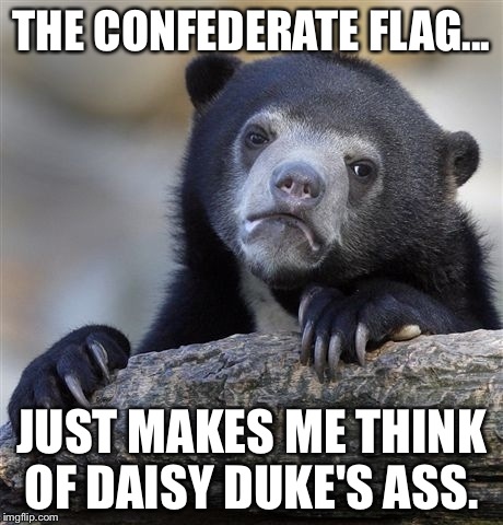 It's true... | THE CONFEDERATE FLAG... JUST MAKES ME THINK OF DAISY DUKE'S ASS. | image tagged in memes,confession bear,sex,shorts,hot | made w/ Imgflip meme maker