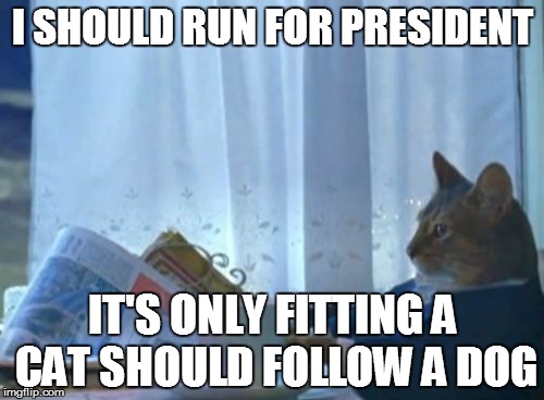 I Should Buy A Boat Cat Meme | I SHOULD RUN FOR PRESIDENT IT'S ONLY FITTING A CAT SHOULD FOLLOW A DOG | image tagged in memes,i should buy a boat cat | made w/ Imgflip meme maker