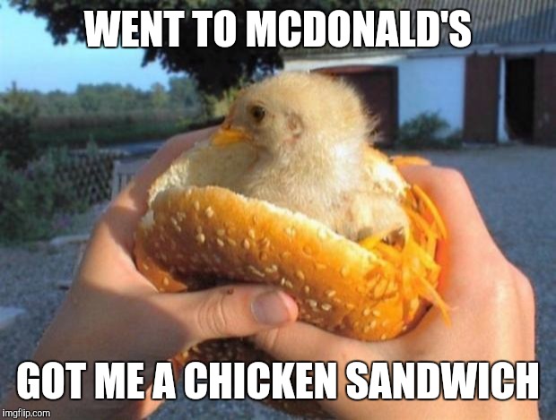 McDonald's McChicken  | WENT TO MCDONALD'S GOT ME A CHICKEN SANDWICH | image tagged in mcchicken mcpollo pollo chicken hamburguer hamburguesa | made w/ Imgflip meme maker
