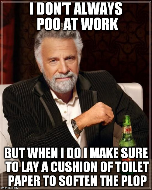 The Most Interesting Man In The World | I DON'T ALWAYS POO AT WORK BUT WHEN I DO I MAKE SURE TO LAY A CUSHION OF TOILET PAPER TO SOFTEN THE PLOP | image tagged in memes,the most interesting man in the world,AdviceAnimals | made w/ Imgflip meme maker