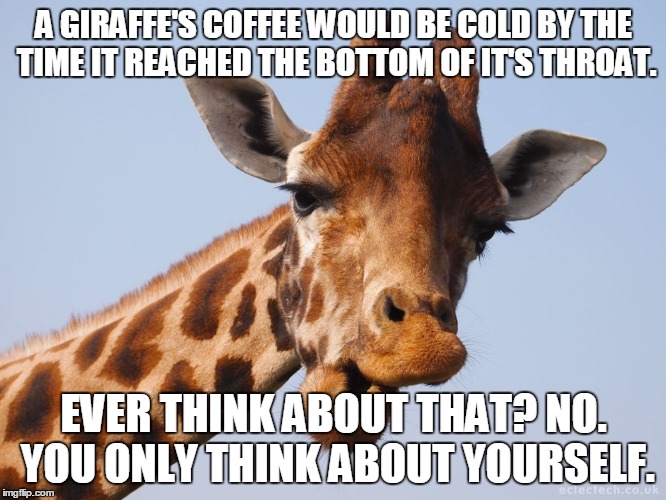 A GIRAFFE'S COFFEE WOULD BE COLD BY THE TIME IT REACHED THE BOTTOM OF IT'S THROAT. EVER THINK ABOUT THAT? NO. YOU ONLY THINK ABOUT YOURSELF. | made w/ Imgflip meme maker