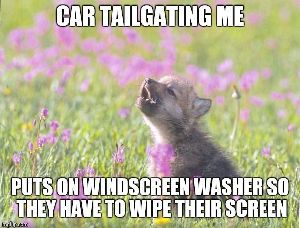 Baby Insanity Wolf Meme | CAR TAILGATING ME PUTS ON WINDSCREEN WASHER SO THEY HAVE TO WIPE THEIR SCREEN | image tagged in memes,baby insanity wolf | made w/ Imgflip meme maker