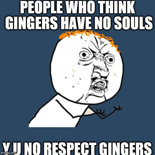 Y U No | PEOPLE WHO THINK GINGERS HAVE NO SOULS Y U NO RESPECT GINGERS | image tagged in memes,y u no | made w/ Imgflip meme maker