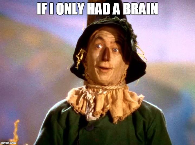 IF I ONLY HAD A BRAIN | made w/ Imgflip meme maker