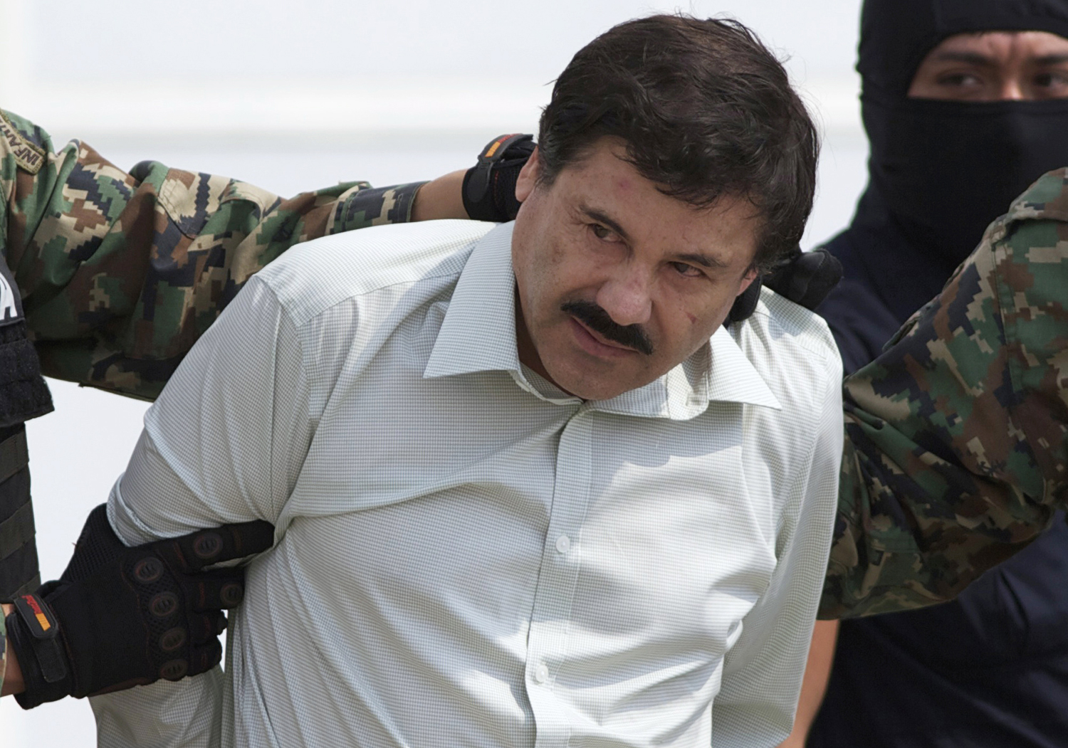 High Quality el chapo Blank Meme Template