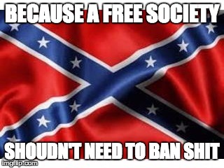 Confederate flag | BECAUSE A FREE SOCIETY SHOUDN'T NEED TO BAN SHIT | image tagged in confederate flag | made w/ Imgflip meme maker