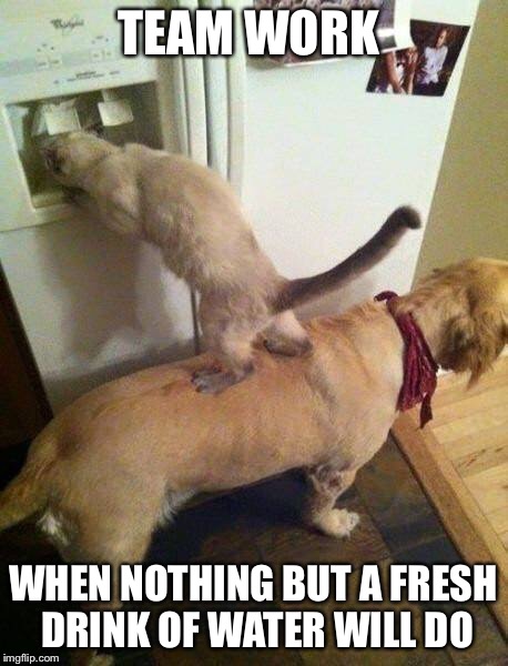 Team work | TEAM WORK WHEN NOTHING BUT A FRESH DRINK OF WATER WILL DO | image tagged in team work | made w/ Imgflip meme maker