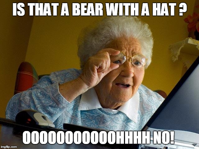 Grandma Finds The Internet | IS THAT A BEAR WITH A HAT ? OOOOOOOOOOOHHHH NO! | image tagged in memes,grandma finds the internet | made w/ Imgflip meme maker