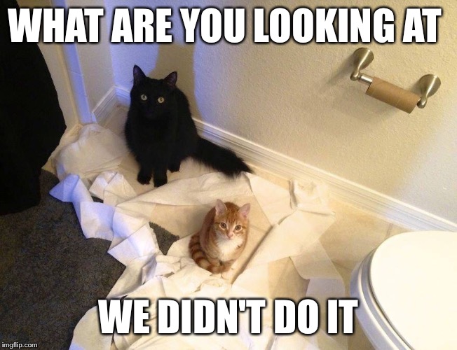 WHAT ARE YOU LOOKING AT WE DIDN'T DO IT | image tagged in what you looking at | made w/ Imgflip meme maker
