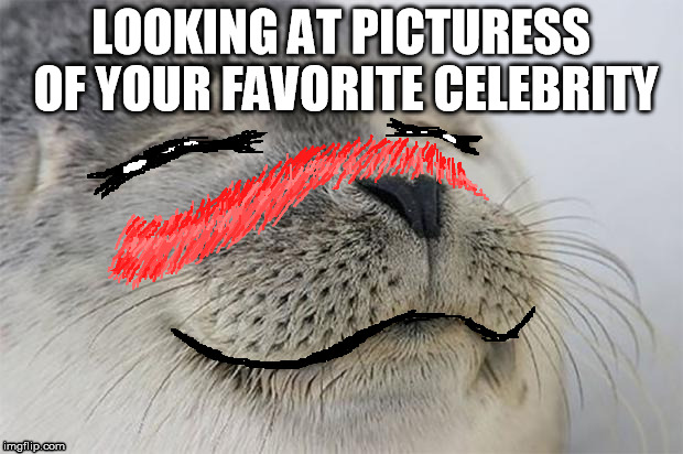 The kind of material to get me blushing like hell. | LOOKING AT PICTURESS OF YOUR FAVORITE CELEBRITY | image tagged in memes,satisfied seal,anime | made w/ Imgflip meme maker