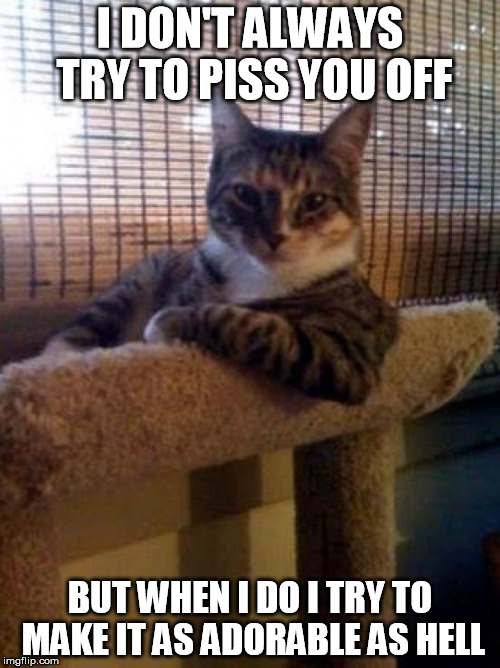 The Most Interesting Cat In The World Meme | I DON'T ALWAYS TRY TO PISS YOU OFF BUT WHEN I DO I TRY TO MAKE IT AS ADORABLE AS HELL | image tagged in memes,the most interesting cat in the world | made w/ Imgflip meme maker