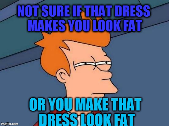 Futurama Fry Meme | NOT SURE IF THAT DRESS MAKES YOU LOOK FAT OR YOU MAKE THAT DRESS LOOK FAT | image tagged in memes,futurama fry | made w/ Imgflip meme maker