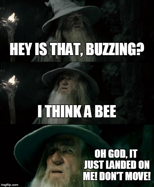 Confused Gandalf | HEY IS THAT, BUZZING? I THINK A BEE OH GOD, IT JUST LANDED ON ME! DON'T MOVE! | image tagged in memes,confused gandalf | made w/ Imgflip meme maker
