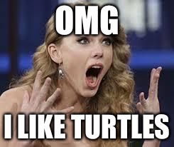 surprised swift | OMG I LIKE TURTLES | image tagged in surprised swift | made w/ Imgflip meme maker