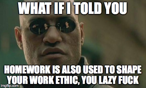 Matrix Morpheus Meme | WHAT IF I TOLD YOU HOMEWORK IS ALSO USED TO SHAPE YOUR WORK ETHIC, YOU LAZY F**K | image tagged in memes,matrix morpheus | made w/ Imgflip meme maker