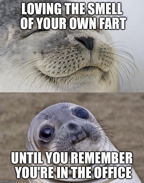 Short Satisfaction VS Truth | LOVING THE SMELL OF YOUR OWN FART UNTIL YOU REMEMBER YOU'RE IN THE OFFICE | image tagged in memes,short satisfaction vs truth | made w/ Imgflip meme maker