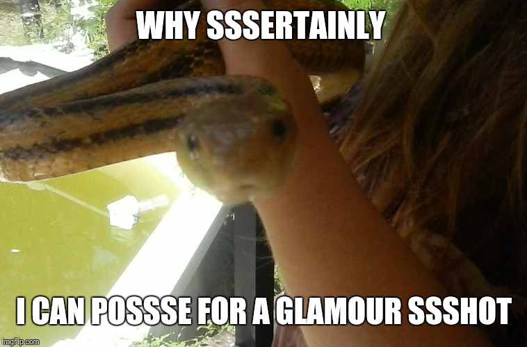 WHY SSSERTAINLY I CAN POSSSE FOR A GLAMOUR SSSHOT | image tagged in boo boo says | made w/ Imgflip meme maker