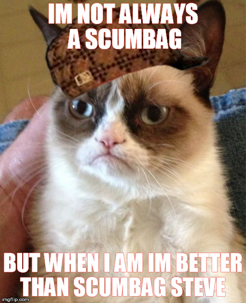 Grumpy Cat | IM NOT ALWAYS A SCUMBAG BUT WHEN I AM IM BETTER THAN SCUMBAG STEVE | image tagged in memes,grumpy cat,scumbag | made w/ Imgflip meme maker