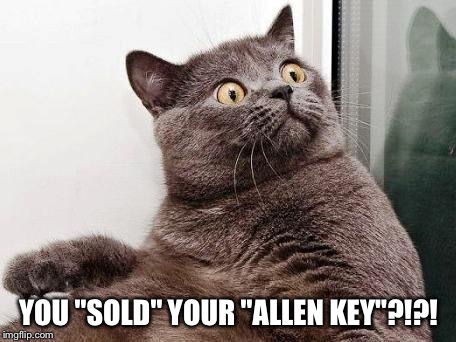 surprised cat | YOU "SOLD" YOUR "ALLEN KEY"?!?! | image tagged in surprised cat | made w/ Imgflip meme maker