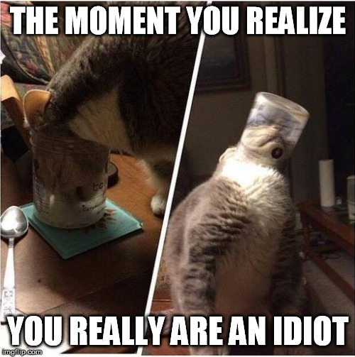 Like a box of Chocolates | THE MOMENT YOU REALIZE YOU REALLY ARE AN IDIOT | image tagged in the moment | made w/ Imgflip meme maker