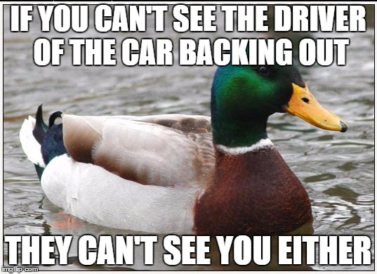 Actual Advice Mallard | IF YOU CAN'T SEE THE DRIVER OF THE CAR BACKING OUT THEY CAN'T SEE YOU EITHER | image tagged in memes,actual advice mallard,AdviceAnimals | made w/ Imgflip meme maker