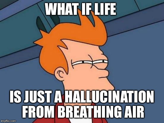 Futurama Fry Meme | WHAT IF LIFE IS JUST A HALLUCINATION FROM BREATHING AIR | image tagged in memes,futurama fry | made w/ Imgflip meme maker