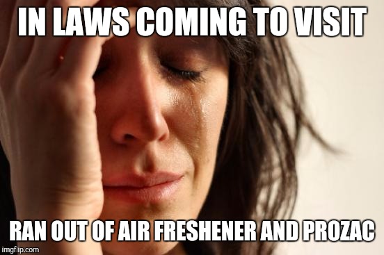 First World Problems | IN LAWS COMING TO VISIT RAN OUT OF AIR FRESHENER AND PROZAC | image tagged in memes,first world problems | made w/ Imgflip meme maker