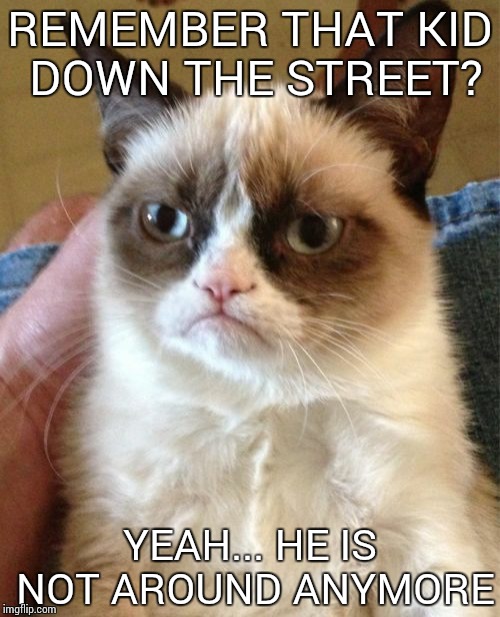 Grumpy Cat Meme | REMEMBER THAT KID DOWN THE STREET? YEAH... HE IS NOT AROUND ANYMORE | image tagged in memes,grumpy cat | made w/ Imgflip meme maker