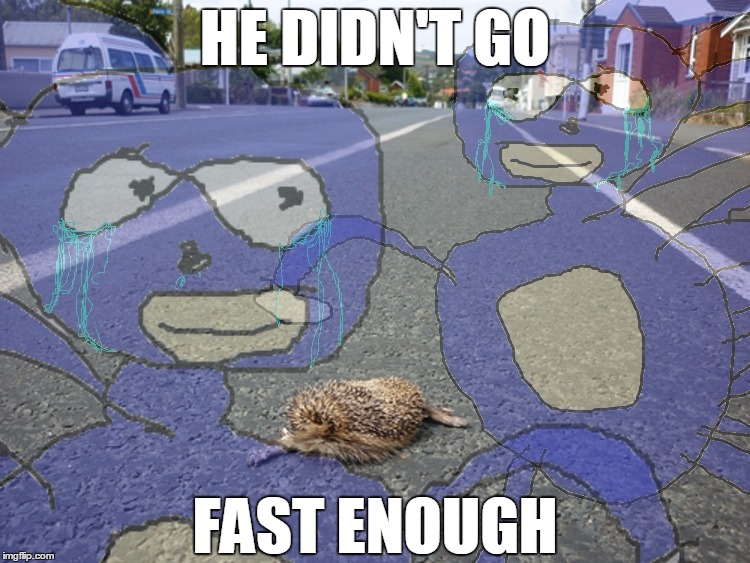 Gotta Go Fast | HE DIDN'T GO FAST ENOUGH | image tagged in memes,sanic,gotta go fast | made w/ Imgflip meme maker