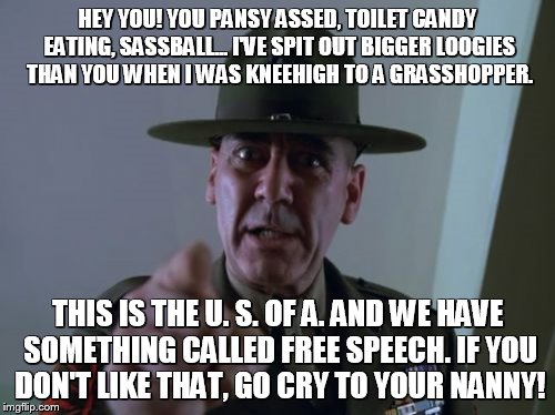 Sergeant Hartmann | HEY YOU! YOU PANSY ASSED, TOILET CANDY EATING, SASSBALL... I'VE SPIT OUT BIGGER LOOGIES THAN YOU WHEN I WAS KNEEHIGH TO A GRASSHOPPER. THIS  | image tagged in memes,sergeant hartmann | made w/ Imgflip meme maker