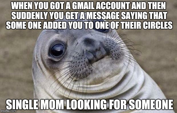 Awkward Moment Sealion | WHEN YOU GOT A GMAIL ACCOUNT AND THEN SUDDENLY YOU GET A MESSAGE SAYING THAT SOME ONE ADDED YOU TO ONE OF THEIR CIRCLES SINGLE MOM LOOKING F | image tagged in memes,awkward moment sealion | made w/ Imgflip meme maker