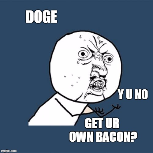 Y U No Meme | DOGE GET UR OWN BACON? Y U NO | image tagged in memes,y u no | made w/ Imgflip meme maker