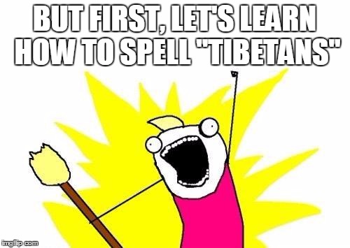 X All The Y Meme | BUT FIRST, LET'S LEARN HOW TO SPELL "TIBETANS" | image tagged in memes,x all the y | made w/ Imgflip meme maker
