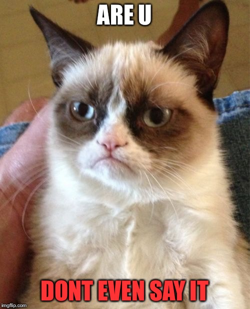 Grumpy Cat | ARE U DONT EVEN SAY IT | image tagged in memes,grumpy cat | made w/ Imgflip meme maker