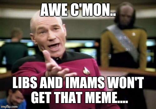 Picard Wtf Meme | AWE C'MON.. LIBS AND IMAMS WON'T GET THAT MEME.... | image tagged in memes,picard wtf | made w/ Imgflip meme maker