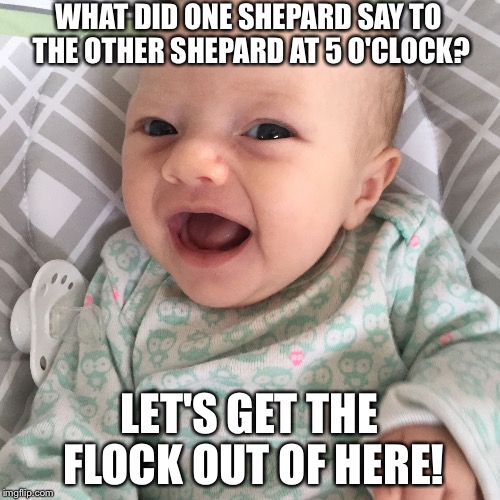 Bad Joke Baby | WHAT DID ONE SHEPARD SAY TO THE OTHER SHEPARD AT 5 O'CLOCK? LET'S GET THE FLOCK OUT OF HERE! | image tagged in bad joke baby | made w/ Imgflip meme maker