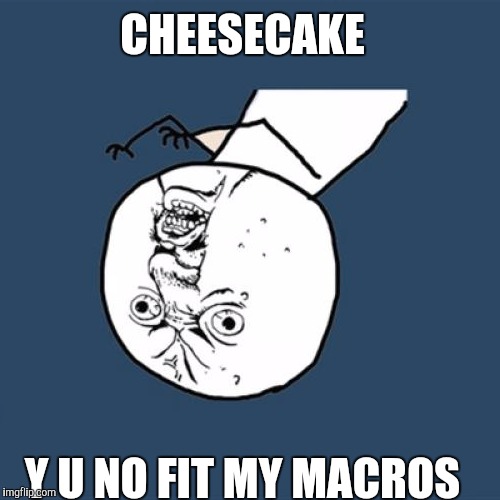 Y U No Meme | CHEESECAKE Y U NO FIT MY MACROS | image tagged in memes,y u no | made w/ Imgflip meme maker