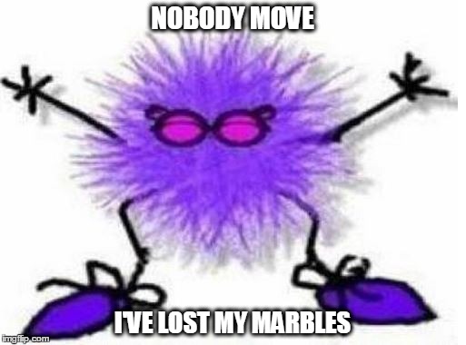 NOBODY MOVE I'VE LOST MY MARBLES | image tagged in lost marbles | made w/ Imgflip meme maker