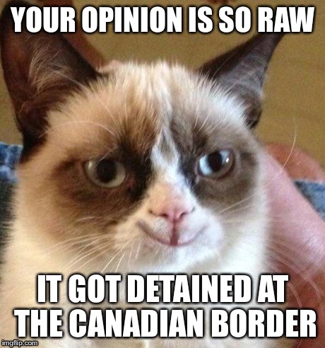 grumpy smile | YOUR OPINION IS SO RAW IT GOT DETAINED AT THE CANADIAN BORDER | image tagged in grumpy smile | made w/ Imgflip meme maker